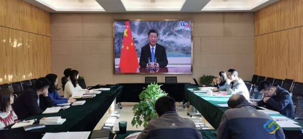 d5f7f56fb3624e3a2a1a9042654a299